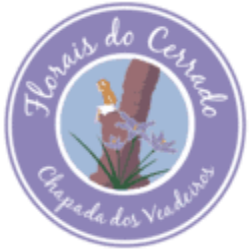 Florais do Cerrado – Essências e Perfumes energéticos e vibracionais