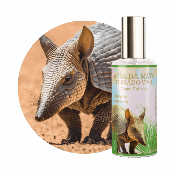 Perfume Aura da Mata Capim Caboclo