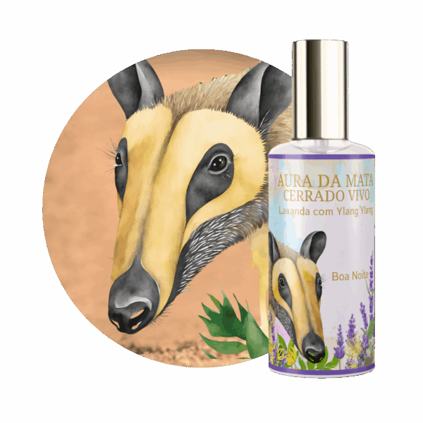 Perfume Aura da Mata Boa Noite Lavanda e Ylang-Ylang