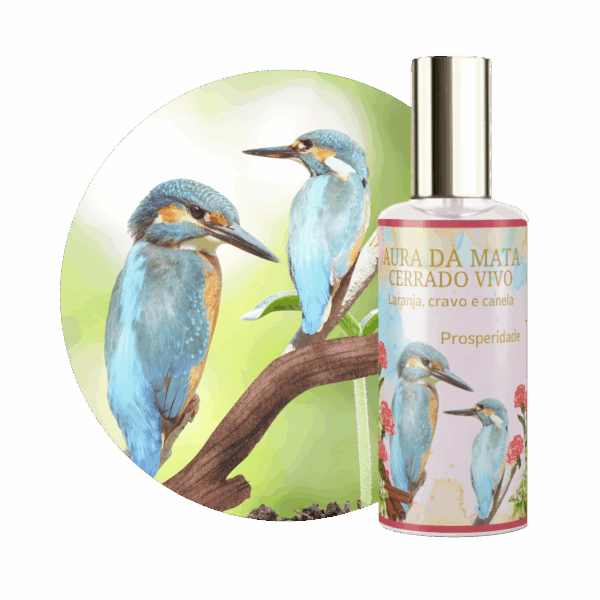 Perfume Aura da Mata Laranja, Cravo e Canela