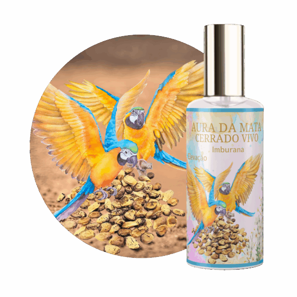 Perfume Aura da Mata Códigos de Luz Imburana