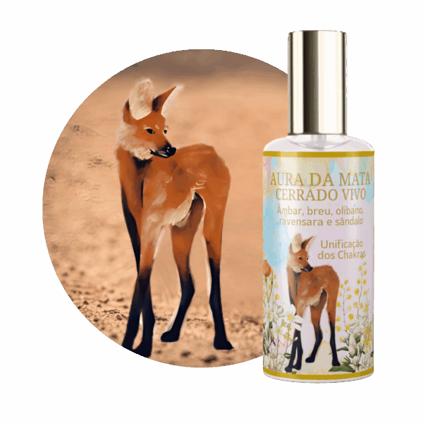 Perfume Aura da Mata Unificação dos Chakras