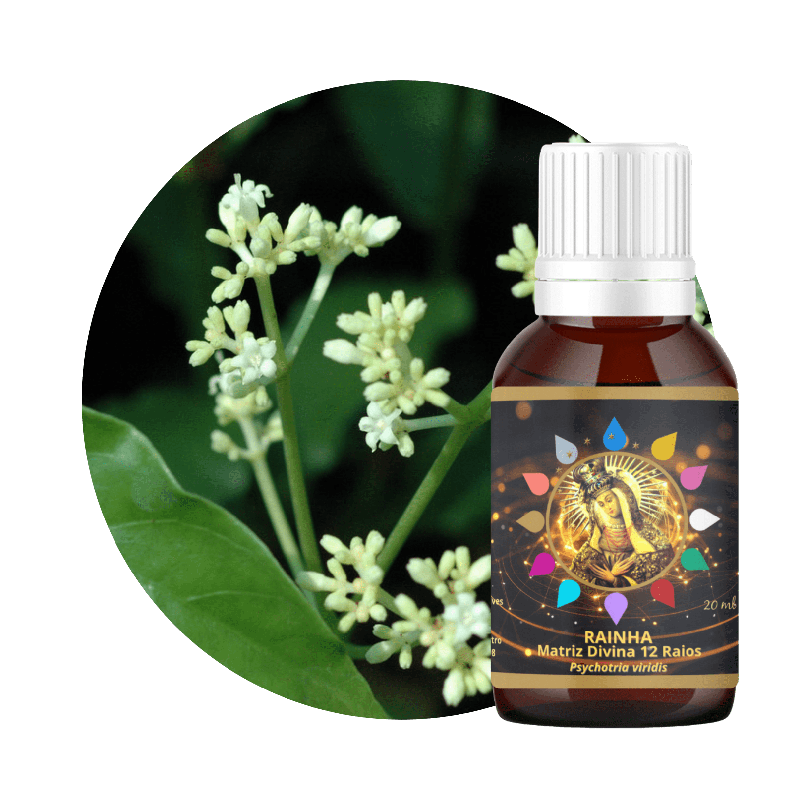 Potencializador Rainha Matriz Divina 12 Raios 20ml